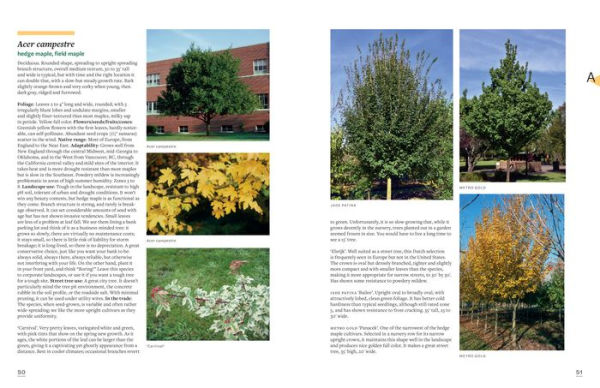 The Tree Book: Superior Selections for Landscapes, Streetscapes, and Gardens