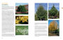 Alternative view 3 of The Tree Book: Superior Selections for Landscapes, Streetscapes, and Gardens