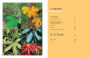 Alternative view 4 of The Tree Book: Superior Selections for Landscapes, Streetscapes, and Gardens