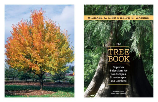 The Tree Book: Superior Selections for Landscapes, Streetscapes, and Gardens