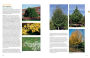 Alternative view 7 of The Tree Book: Superior Selections for Landscapes, Streetscapes, and Gardens