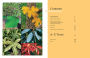 Alternative view 9 of The Tree Book: Superior Selections for Landscapes, Streetscapes, and Gardens