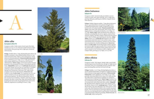 The Tree Book: Superior Selections for Landscapes, Streetscapes, and Gardens