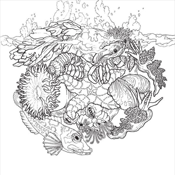 Color the Natural World: A Timber Press Coloring Book