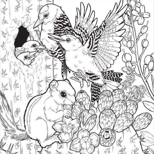Color the Natural World: A Timber Press Coloring Book