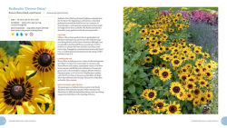 Alternative view 3 of Pretty Tough Plants: 135 Resilient, Water-Smart Choices for a Beautiful Garden