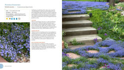 Alternative view 6 of Pretty Tough Plants: 135 Resilient, Water-Smart Choices for a Beautiful Garden