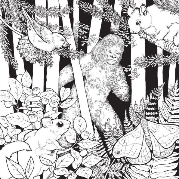 Color the Pacific Northwest: A Timber Press Coloring Book