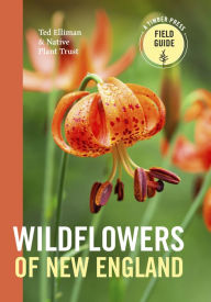 Title: Wildflowers of New England: Timber Press Field Guide, Author: V llora S nchez Carmen