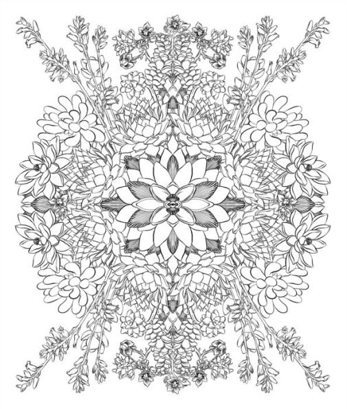 Sensational Succulents: An Adult Coloring Book of Amazing Shapes and Magical Patterns