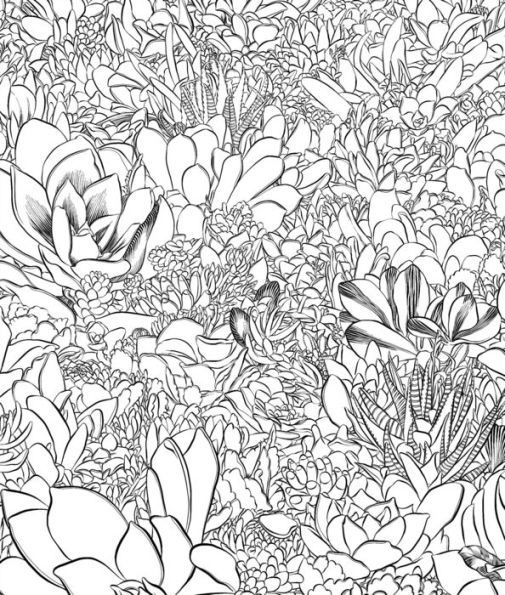 Sensational Succulents: An Adult Coloring Book of Amazing Shapes and Magical Patterns