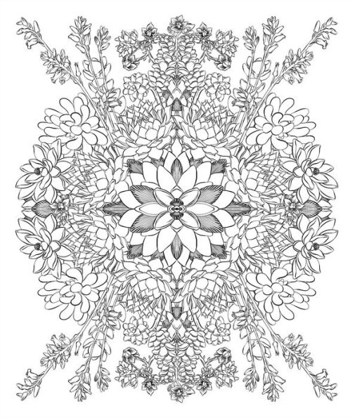 Sensational Succulents: An Adult Coloring Book of Amazing Shapes and Magical Patterns