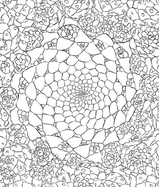 Sensational Succulents: An Adult Coloring Book of Amazing Shapes and Magical Patterns