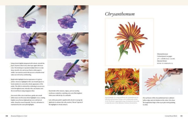 Botanical Art Techniques: A Comprehensive Guide to Watercolor, Graphite, Colored Pencil, Vellum, Pen and Ink, Egg Tempera, Oils, Printmaking, and More