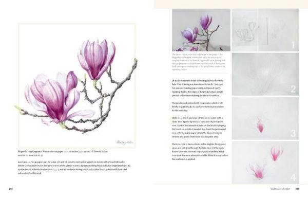 Botanical Art Techniques: A Comprehensive Guide to Watercolor, Graphite, Colored Pencil, Vellum, Pen and Ink, Egg Tempera, Oils, Printmaking, and More