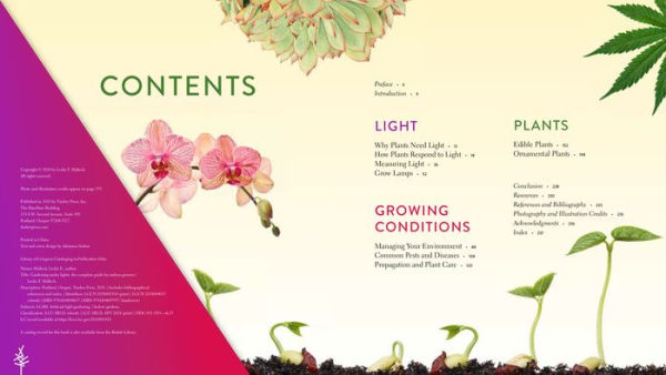 Gardening Under Lights: The Complete Guide for Indoor Growers