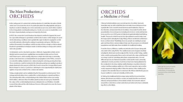 Orchid Modern: Living and Designing with the World's Most Elegant Houseplants