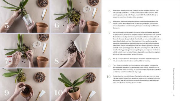 Orchid Modern: Living and Designing with the World's Most Elegant Houseplants