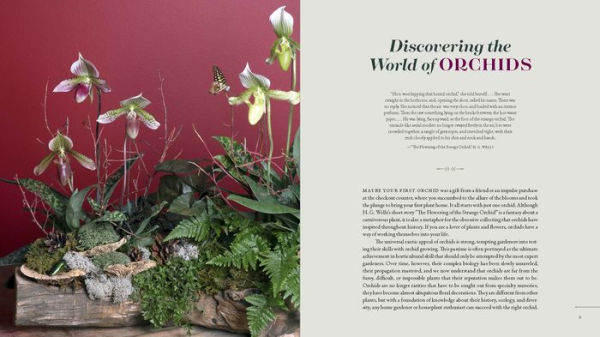 Orchid Modern: Living and Designing with the World's Most Elegant Houseplants