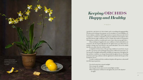 Orchid Modern: Living and Designing with the World's Most Elegant Houseplants