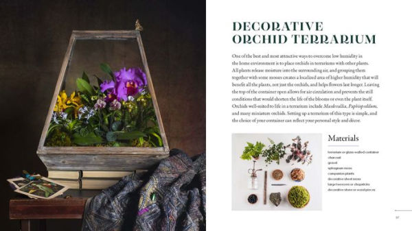 Orchid Modern: Living and Designing with the World's Most Elegant Houseplants