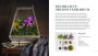 Alternative view 8 of Orchid Modern: Living and Designing with the World's Most Elegant Houseplants