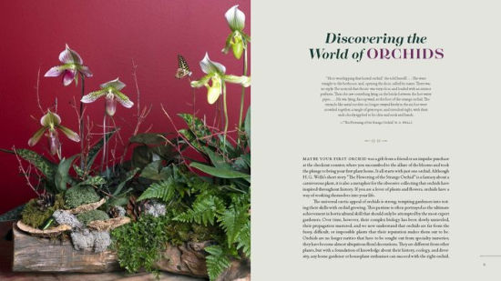 Orchid Modern Living And Designing With The World S Most Elegant Houseplants By Marc Hachadourian Paperback Barnes Noble