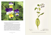 Alternative view 11 of Emily Dickinson's Gardening Life: The Plants and Places That Inspired the Iconic Poet