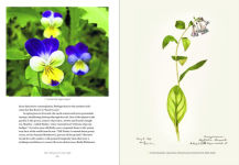 Alternative view 2 of Emily Dickinson's Gardening Life: The Plants and Places That Inspired the Iconic Poet
