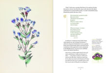 Alternative view 6 of Emily Dickinson's Gardening Life: The Plants and Places That Inspired the Iconic Poet