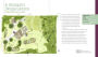 Alternative view 4 of Deer-Resistant Design: Fence-free Gardens that Thrive Despite the Deer