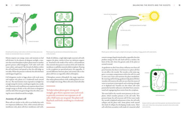 The New Gardener's Handbook: Everything You Need to Know Grow a Beautiful and Bountiful Garden