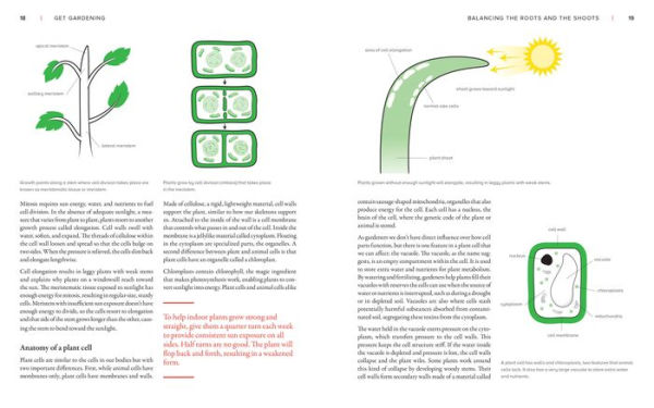 The New Gardener's Handbook: Everything You Need to Know to Grow a Beautiful and Bountiful Garden