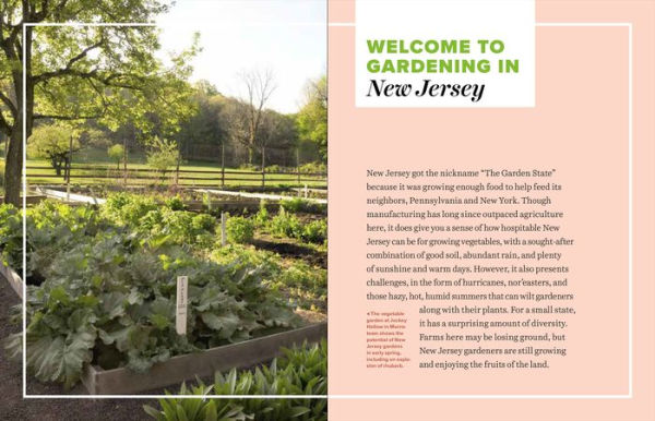 Grow Great Vegetables in New Jersey