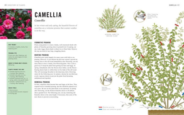 Pruning Simplified: A Step-by-Step Guide to 50 Popular Trees and Shrubs