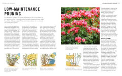 Alternative view 13 of Pruning Simplified: A Step-by-Step Guide to 50 Popular Trees and Shrubs