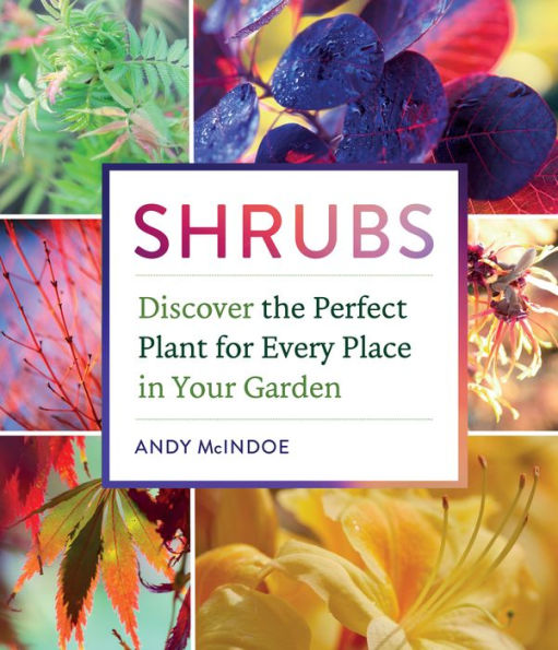 Shrubs: Discover the Perfect Plant for Every Place in Your Garden