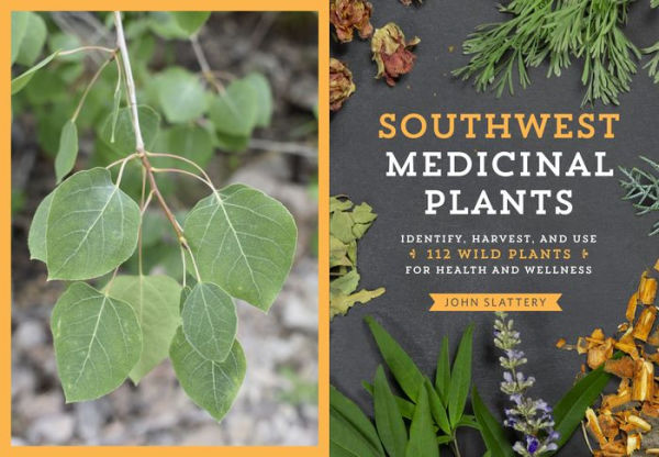 Southwest Medicinal Plants: Identify, Harvest, and Use 112 Wild Herbs for Health Wellness