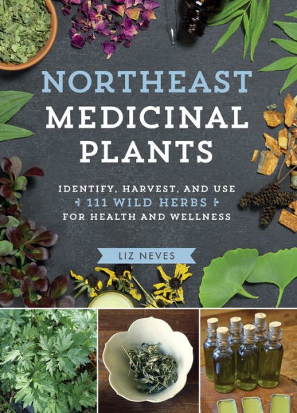 Northeast Medicinal Plants: Identify, Harvest, and Use 111 Wild Herbs for Health Wellness