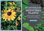 Alternative view 10 of Northeast Medicinal Plants: Identify, Harvest, and Use 111 Wild Herbs for Health and Wellness