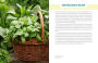 Alternative view 10 of Grow Your Own Herbs: The 40 Best Culinary Varieties for Home Gardens