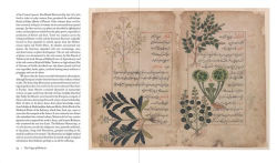 Alternative view 11 of Herbarium: The Quest to Preserve and Classify the World's Plants