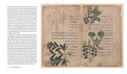 Alternative view 5 of Herbarium: The Quest to Preserve and Classify the World's Plants