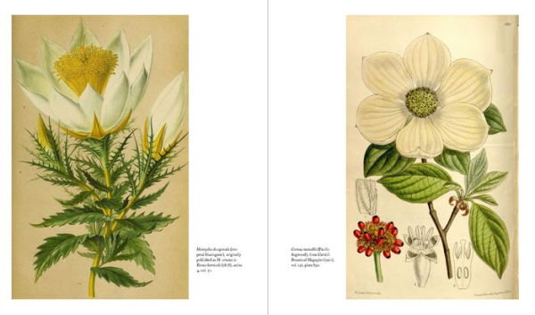 Herbarium: the Quest to Preserve and Classify World's Plants