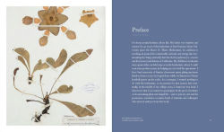 Alternative view 10 of Herbarium: The Quest to Preserve and Classify the World's Plants