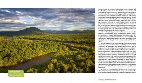 Rare Trees: The Fascinating Stories of the World's Most Threatened Species