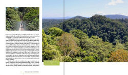 Alternative view 4 of Rare Trees: The Fascinating Stories of the World's Most Threatened Species