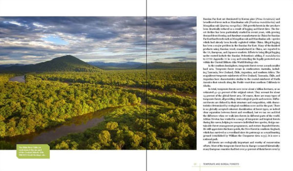 Rare Trees: The Fascinating Stories of the World's Most Threatened Species