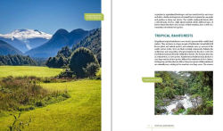 Alternative view 8 of Rare Trees: The Fascinating Stories of the World's Most Threatened Species