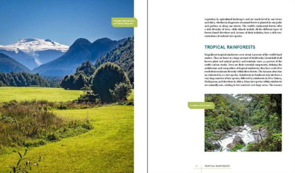 Rare Trees: The Fascinating Stories of the World's Most Threatened Species